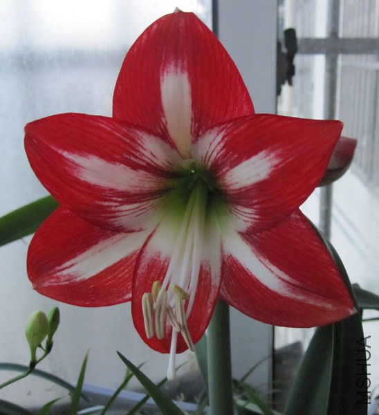 09-03 ����ɭ��20���Խ� 3.jpg