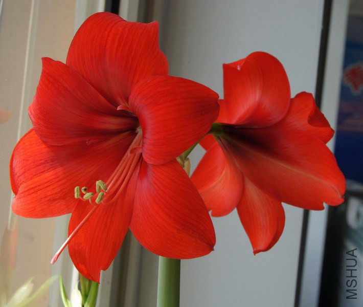 09-04 ����ɭ��20���Խ� 1.jpg