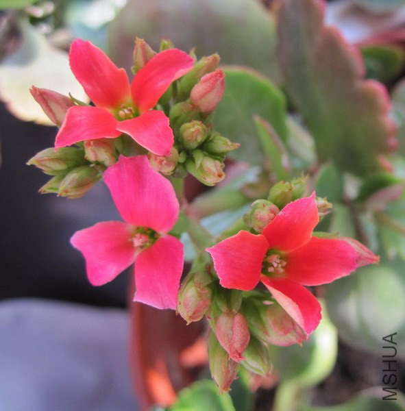 ���ٻ� õ�쵥���.jpg