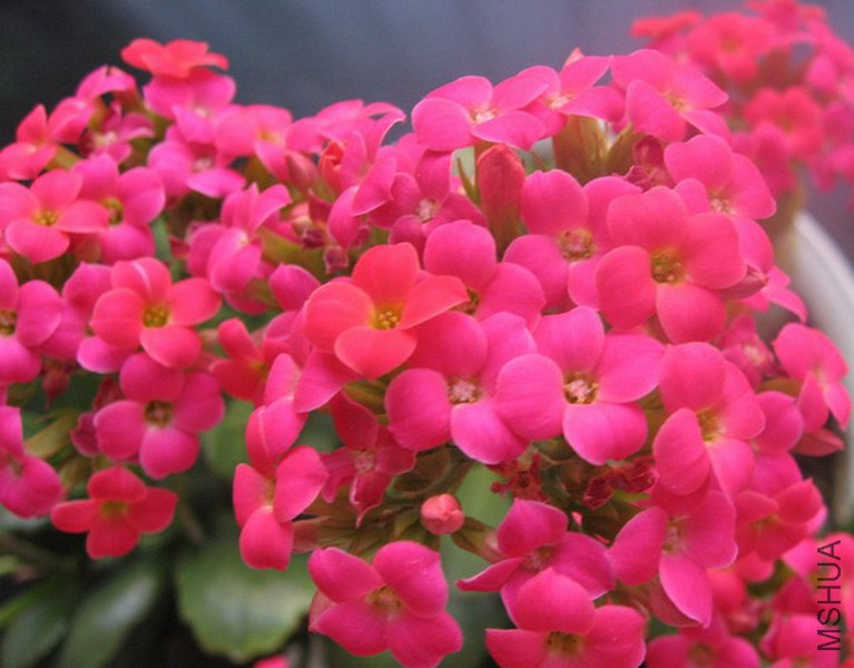 ���ٻ� õ�쵥Բ�� 1.jpg