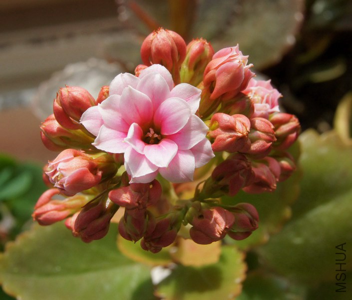 ���ٻ� ����1.jpg