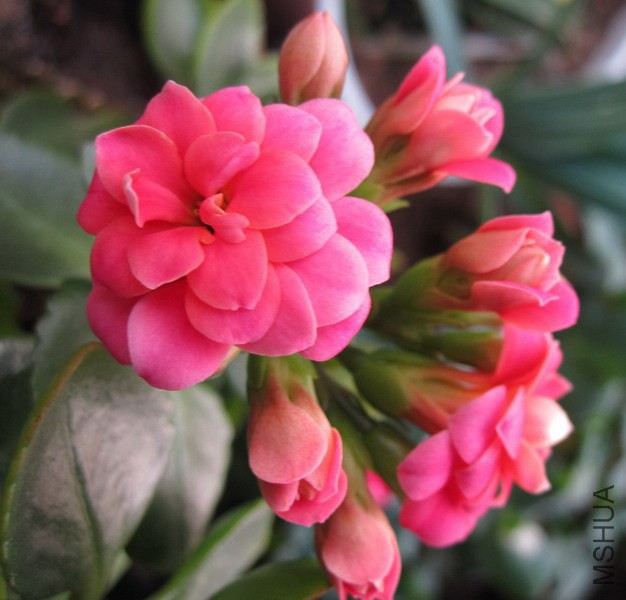 ���ٻ� ���� 2.jpg