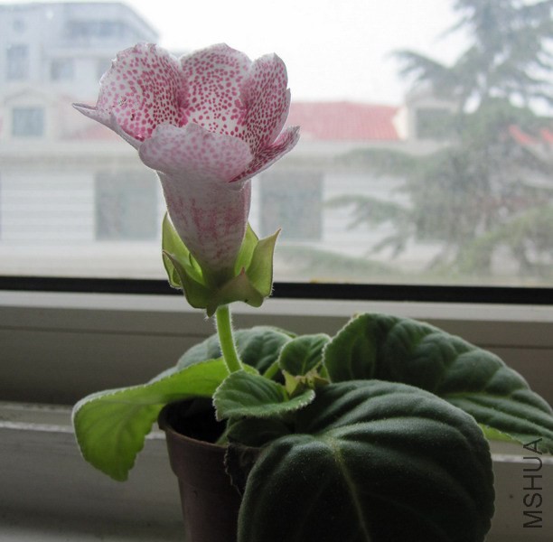 ��ɫ��� ���� 0.jpg