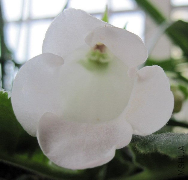 ��ͩ ����С��.jpg