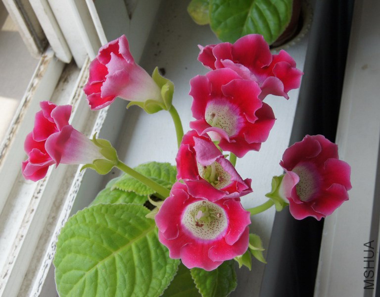 ��ͩ ��ɫ 3.JPG