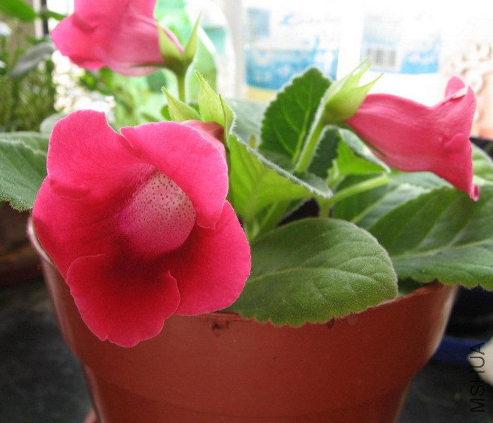 ��ͩ TW��2.jpg