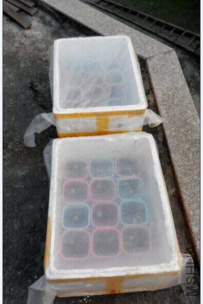 QQͼƬ20141205133234.jpg