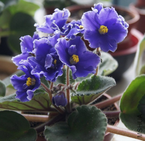 ������ �ͷ׵����ױ� 5.JPG