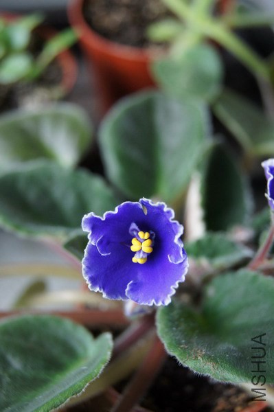 ������ �ͷ׵����ױ� 2.JPG