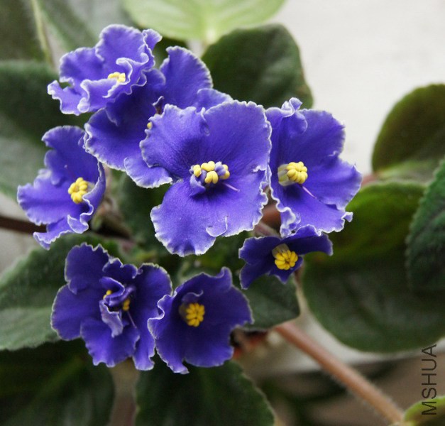 ������ �ͷ׵����ױ� 3.JPG