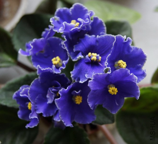 ������ �ͷ׵����ױ� 4.JPG