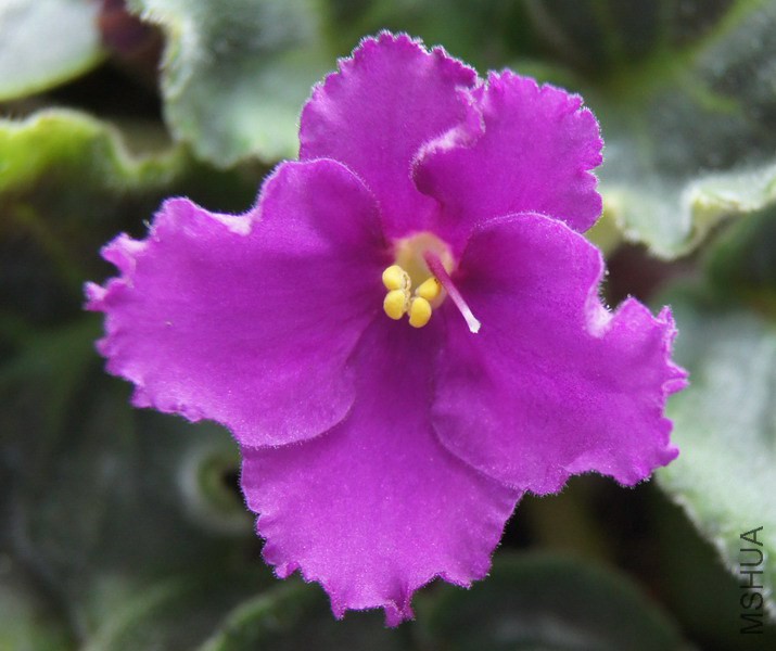 ������ �Ϻ쵥�� 2.jpg