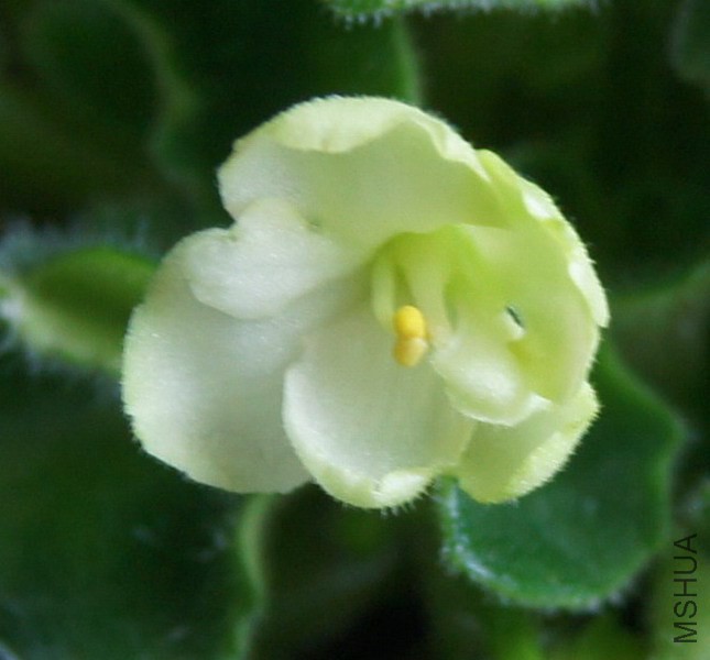 ������ �̰�ɫ�������� 3.jpg