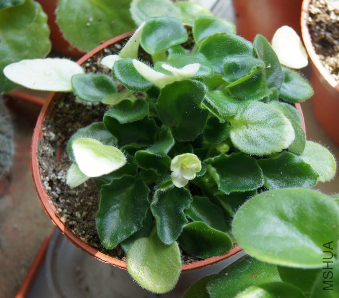 ������ �̰�ɫ�������� 2.jpg