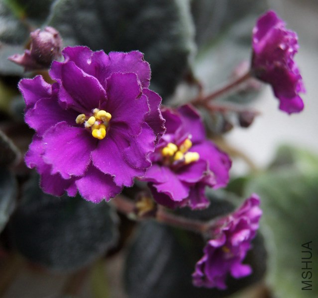 ������ �Ϻ�ɫ�ذ� 2.JPG