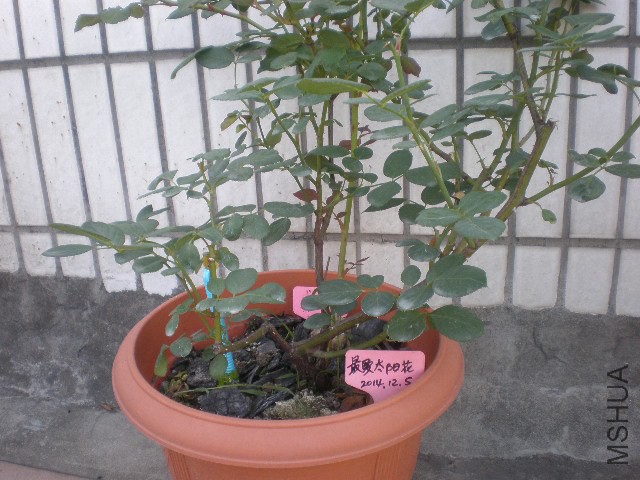 �õ�50Ԫ