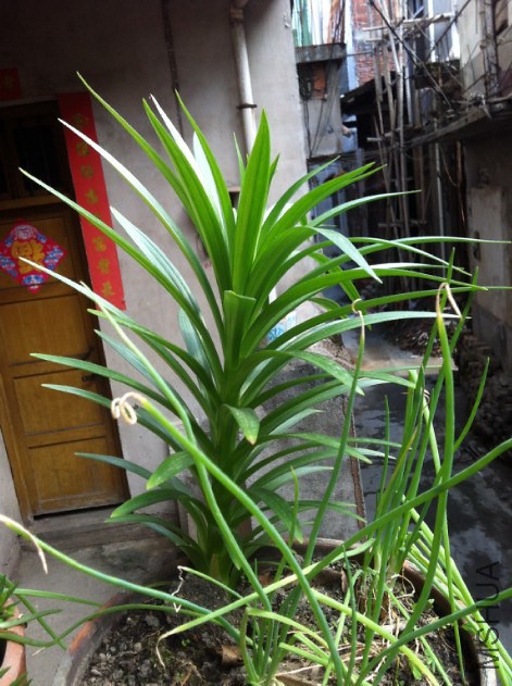 2014-12-05_221845.jpg