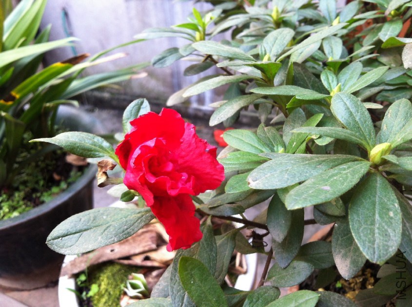 2014-12-05_221935.jpg