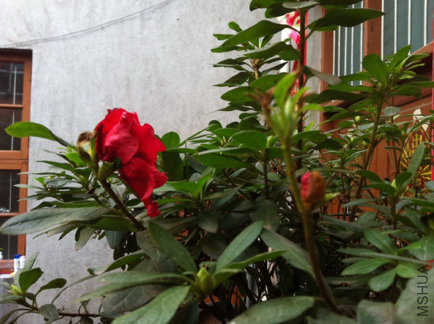 2014-12-05_221928.jpg