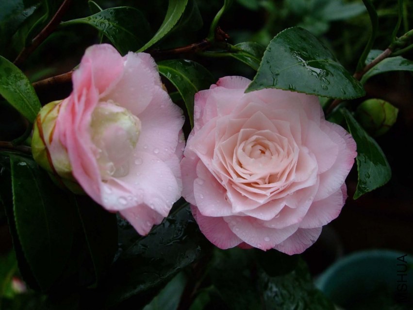 ţ�������� 2014-3-29 129.jpg