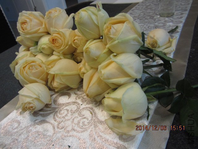IMG_6727.JPG