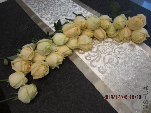 IMG_6732.JPG