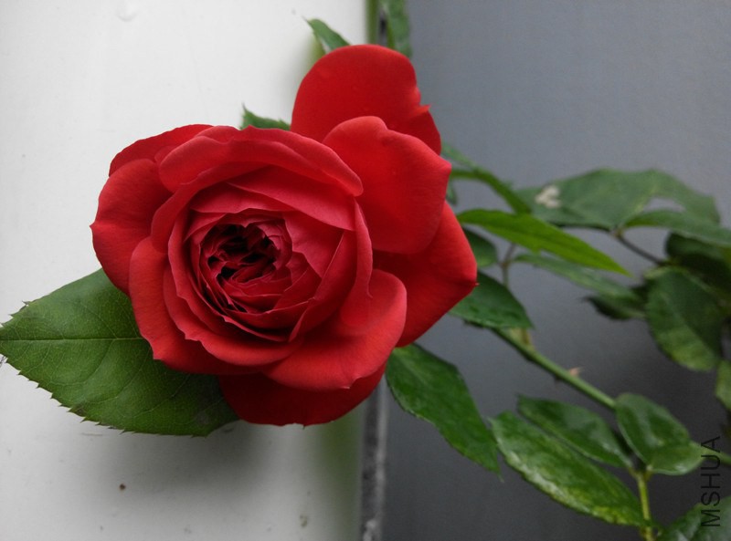 IMG_20141129_090419(1).jpg