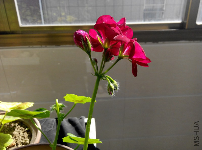 IMG_20141206_111202.jpg