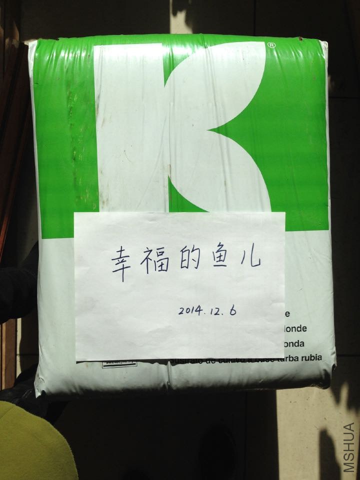 876����.jpg