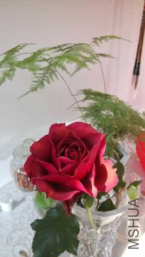 IMG_20141207_112633.jpg