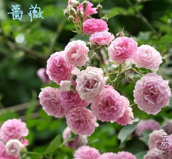 QQ��ͼ20141207203546.jpg
