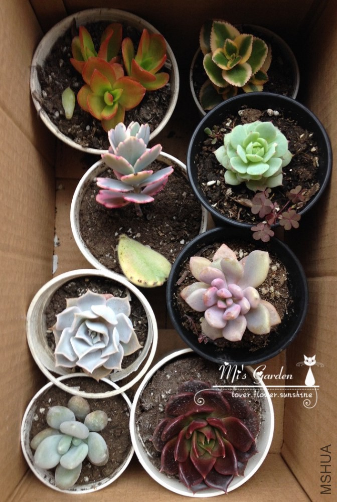 2014.3.5.JPG