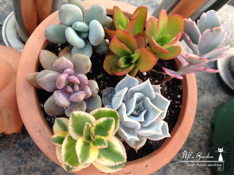 2014.3.9-2.JPG