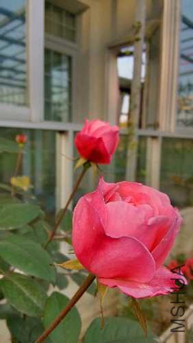 IMG_20141207_170037_HDR.jpg