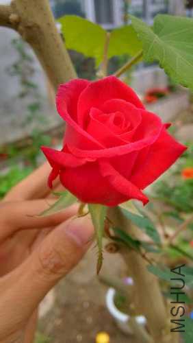IMG_20141108_130045_HDR.jpg