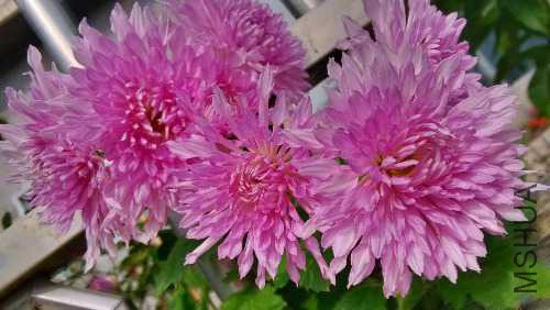IMG_20141112_132351_HDR.jpg