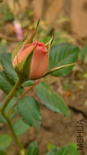 IMG_20141104_141007_HDR.jpg