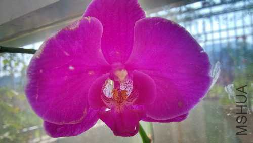 IMG_20141105_102606_HDR.jpg