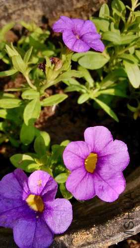 IMG_20141103_111047_HDR.jpg