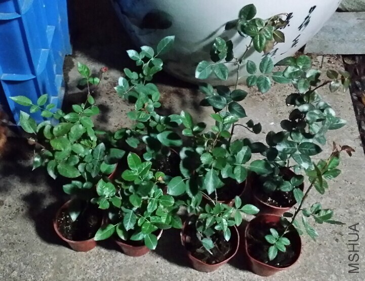 QQͼƬ20141209103017.jpg