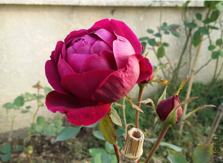QQͼƬ20141209143355.jpg