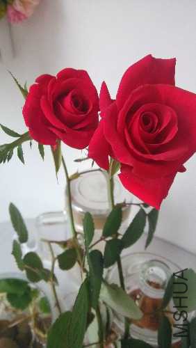 IMG_20141109_115616.jpg