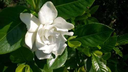 IMG_20140904_093746.jpg