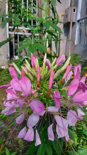 IMG_20140904_093554_HDR.jpg