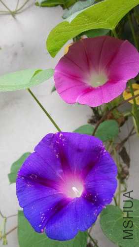 IMG_20140829_094947.jpg