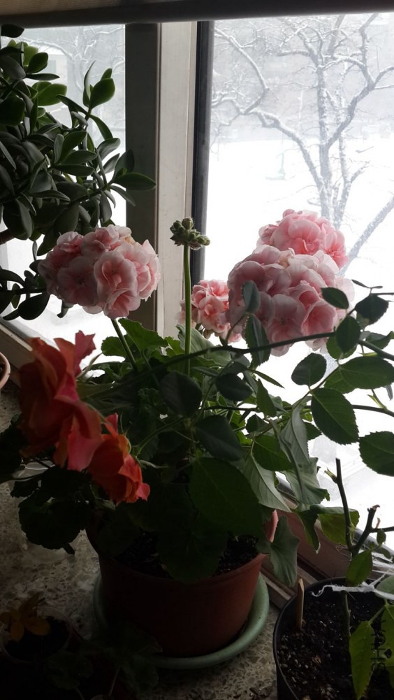 20141210_115542_����.jpg