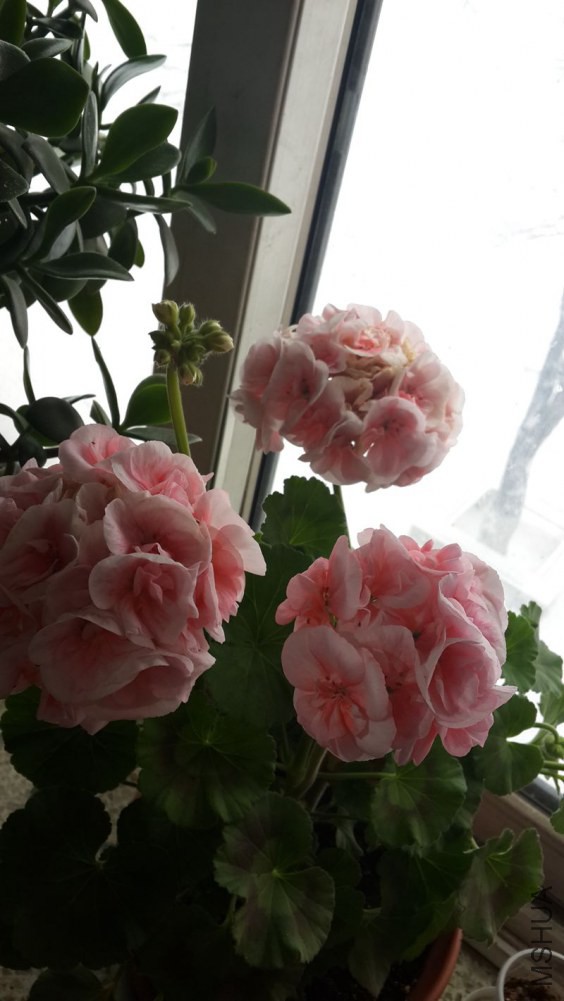 20141210_120758_����.jpg