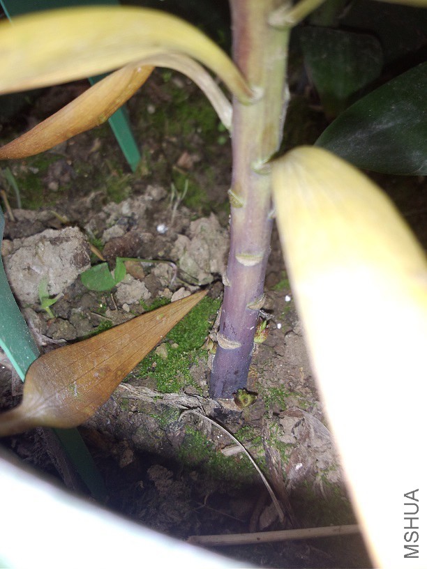 ��������Ҫ��Ҫ����ѿ�ӣ�˳����Ȼ��