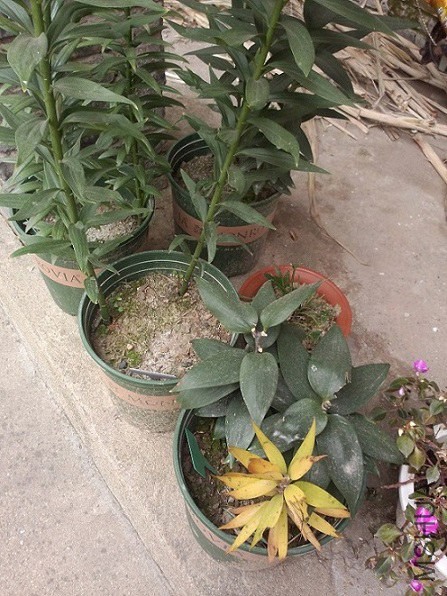 �󲿷ֶ����̵ģ������˱����������С��������