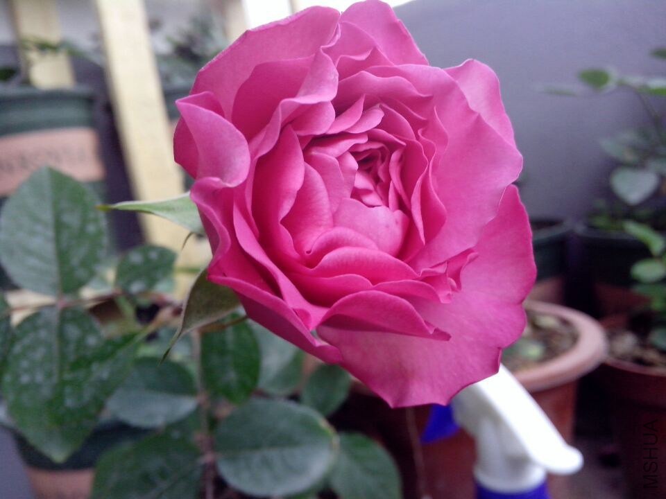 QQͼƬ20141210155424.jpg